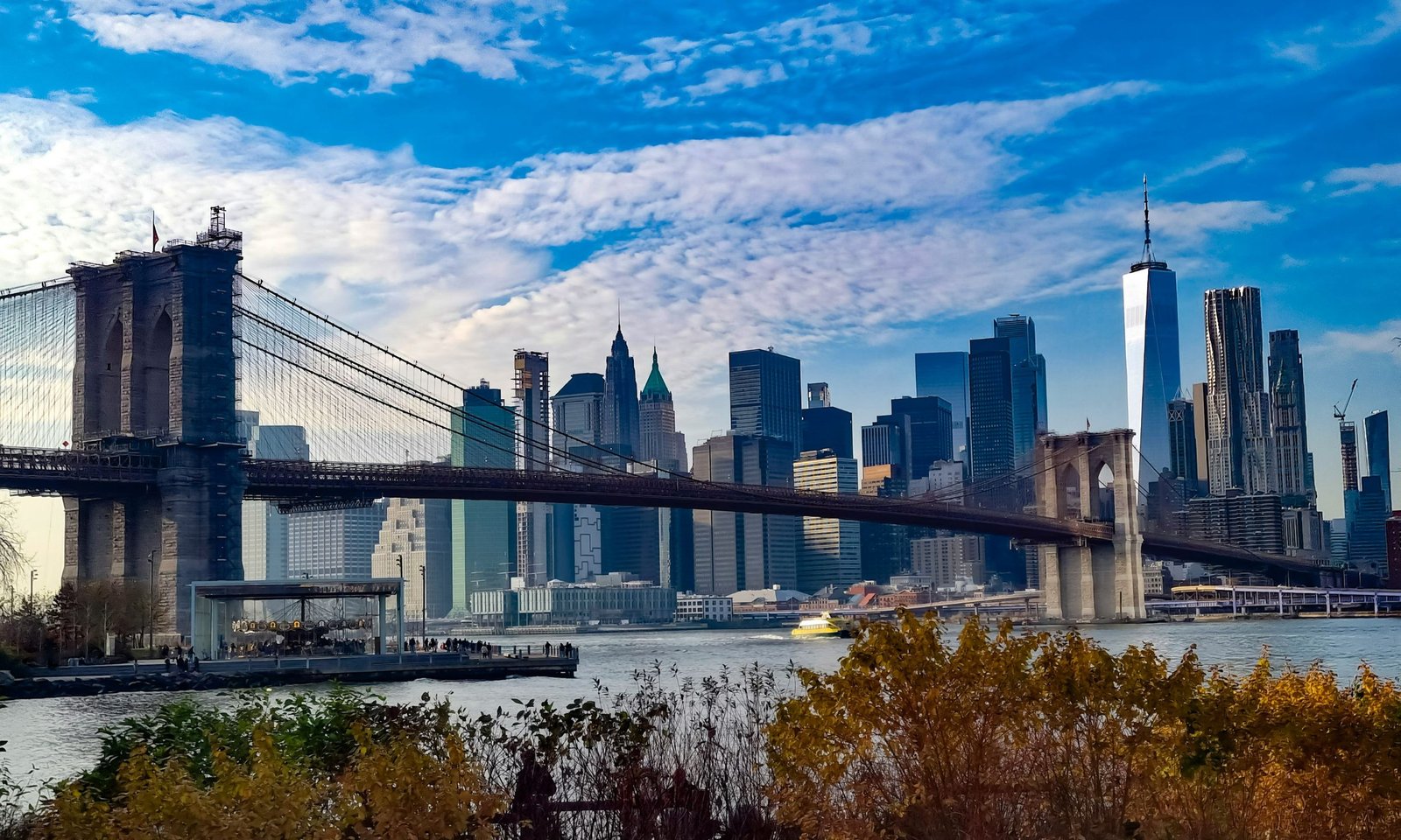 Shopify B2B Agency in New York