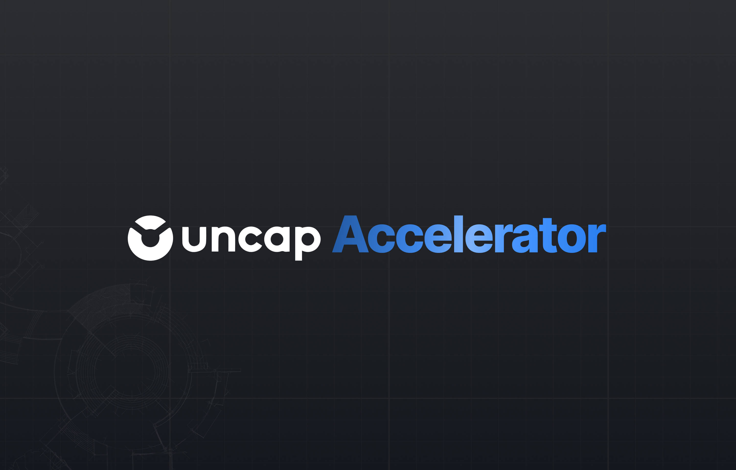 Shopify Plus B2B Accelerator 